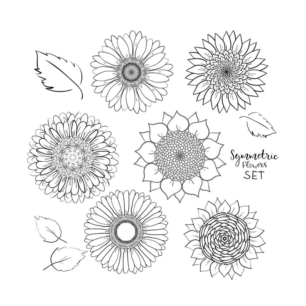 Floral symmetric summer flowers set. Hand drawn Doodle flower. Outline Vector illustration on white background. Collection for pattern, template, banner, posters, invitation and greeting card design.