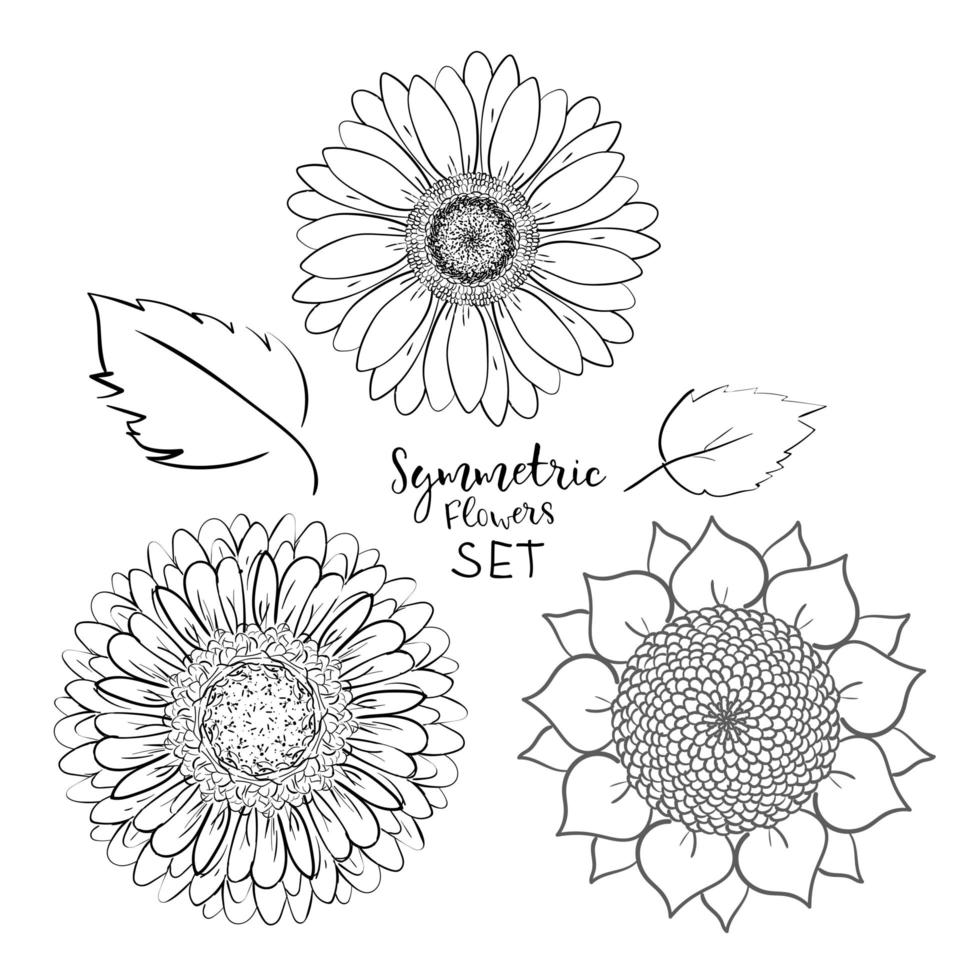 conjunto de flores de verano simétricas florales. flor de garabato dibujada a mano. ilustración vectorial de contorno sobre fondo blanco. colección para el diseño de patrones, plantillas, pancartas, carteles, invitaciones y tarjetas de felicitación. vector