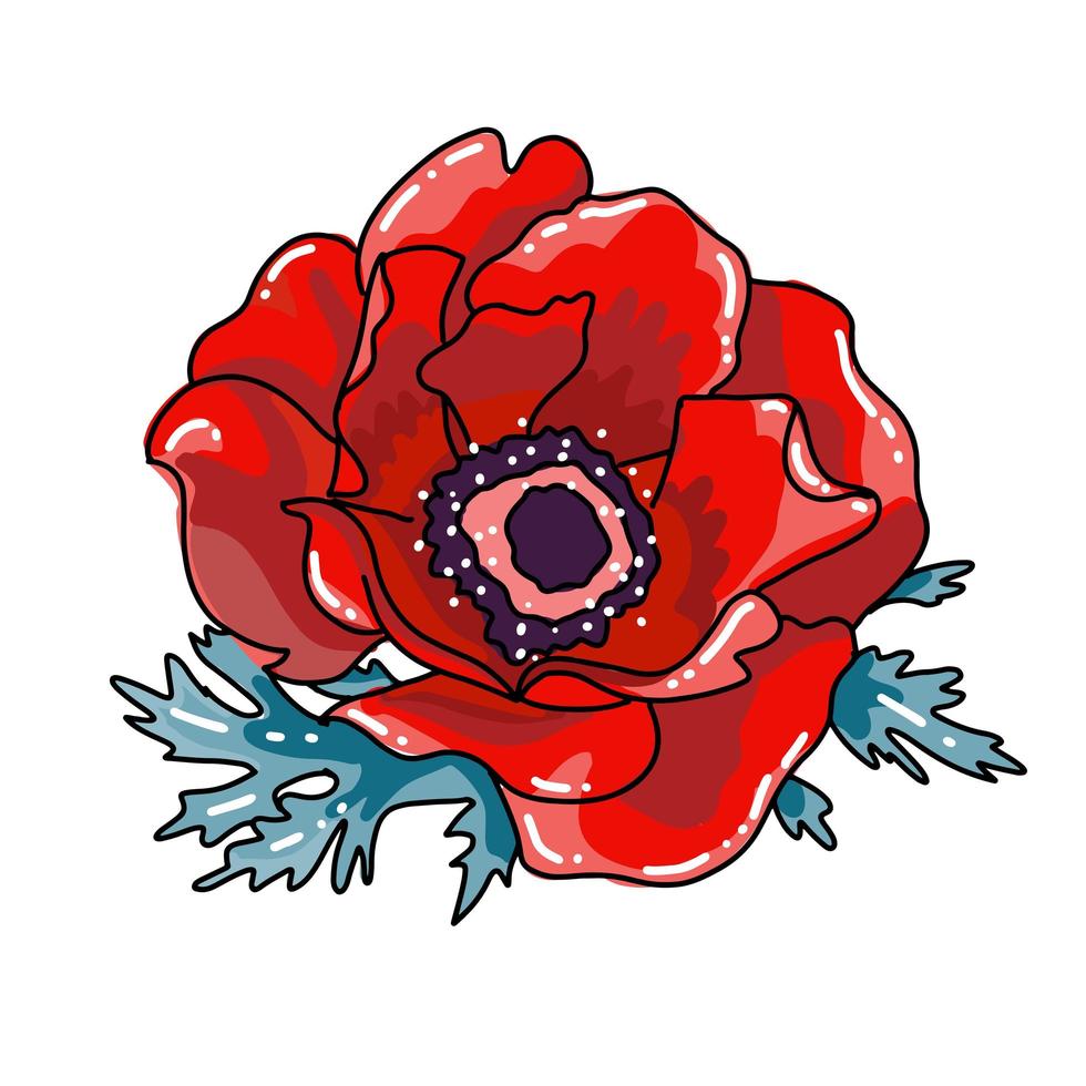 Vector illustration of red poppy with leaves. Single flower blooming closeup. Realistic hand drawn blossom. Floral design object. Summer, spring sign, outlined sketch symbol.