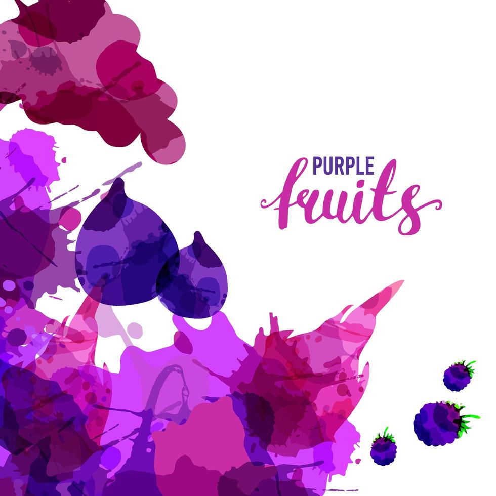 juego de frutas manchas de acuarela dibujadas y manchas con un spray de mora, uvas, higo, fruta de dragón. ilustración de frutas vectoriales de alimentos naturales ecológicos aislados sobre fondo blanco con letras vector