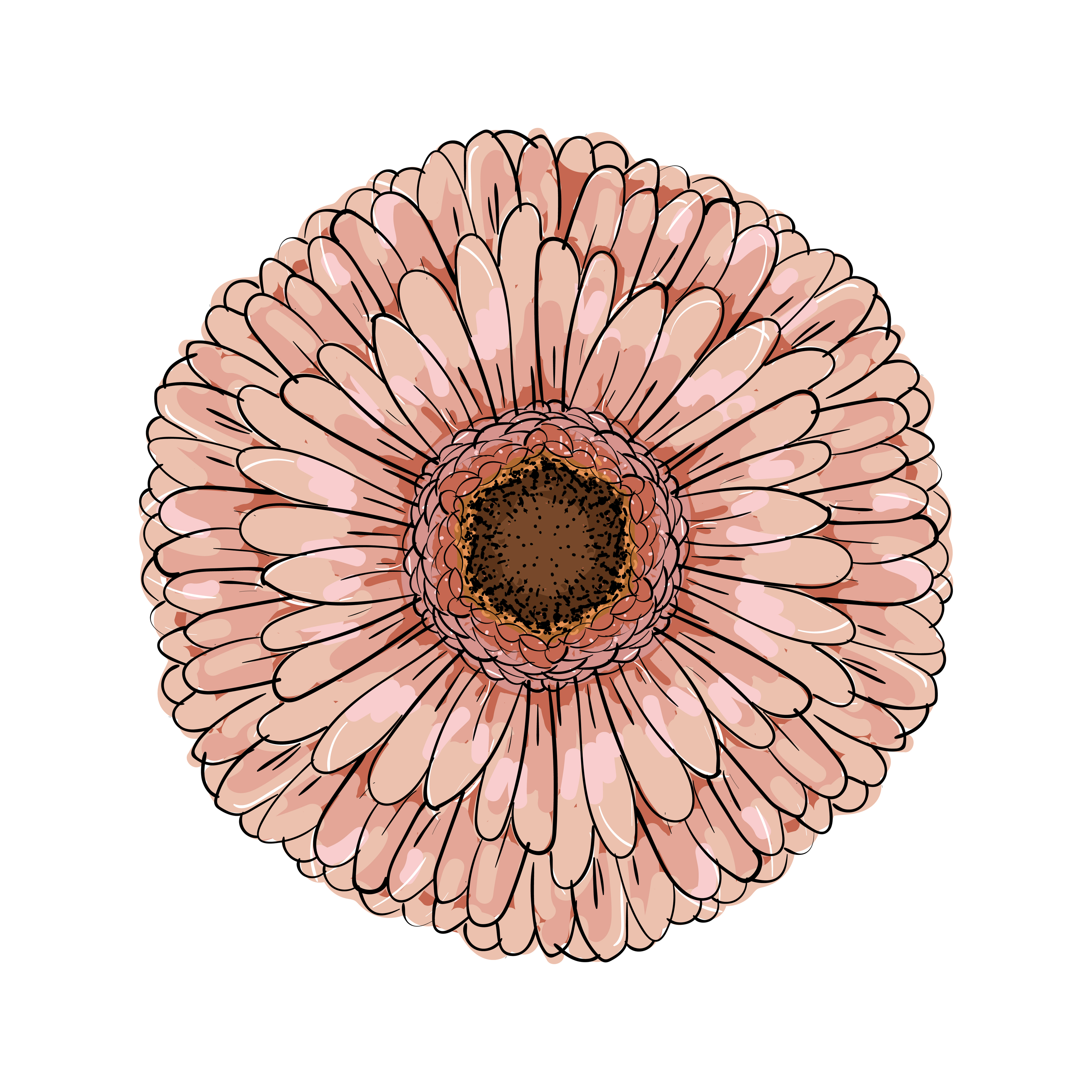 19+ Drawings Of Gerbera Daisies