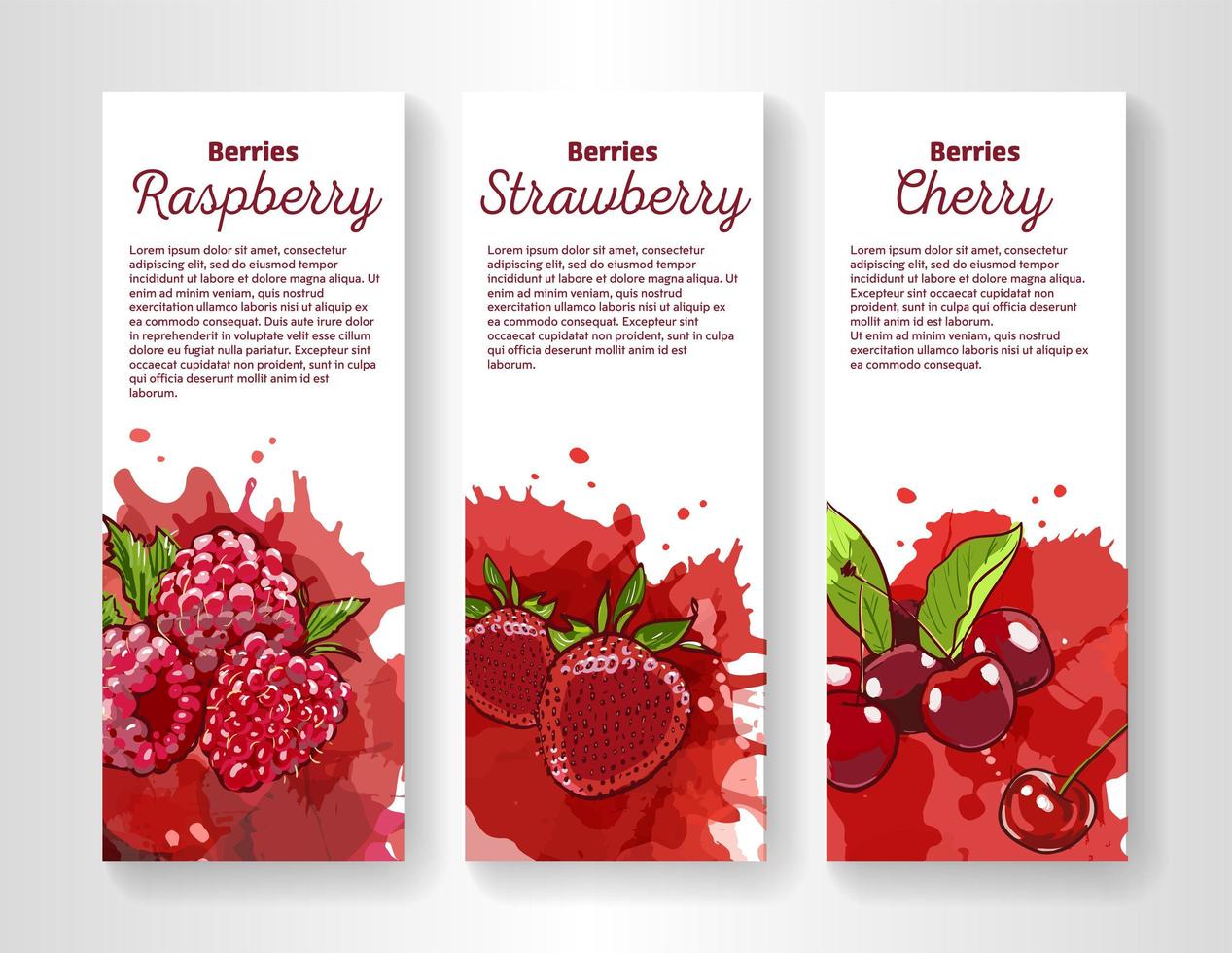 Set of organic eco berries vertical banners. Hand drawn illustration in sketch style. Cherry, strawberry and raspberry on colorful splashes on white background with free place for your text. vector