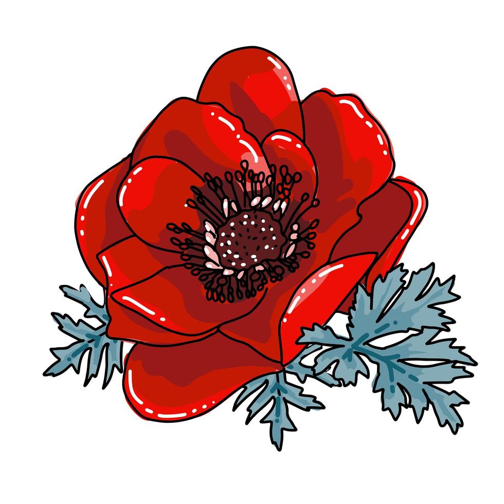 Single red poppy flower blooming closeup. Vector Isolated illustration on a white background. Realistic hand drawn blossom. Floral design object. Summer, spring sign, outlined symbol.
