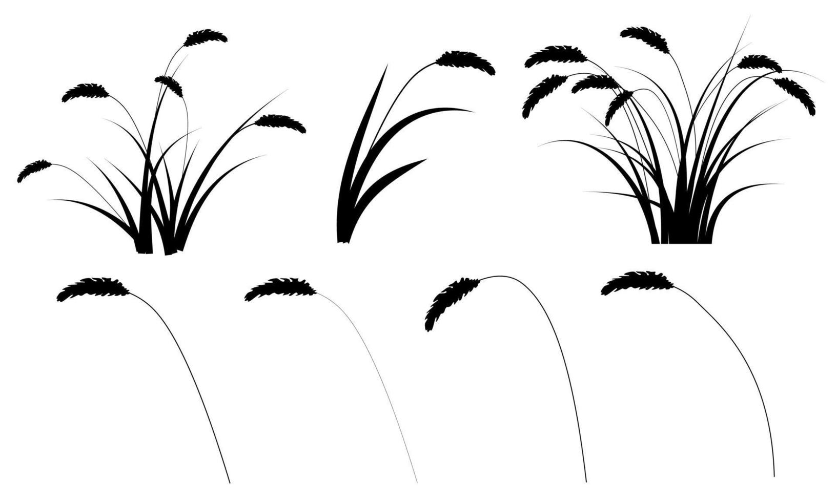 silueta de hierba de caña vector