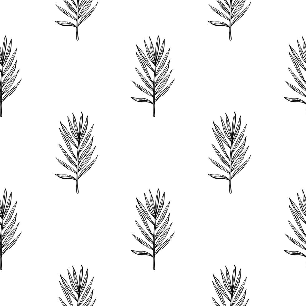 Palm leaves seamless pattern. Tropical branch in engraving style. vector