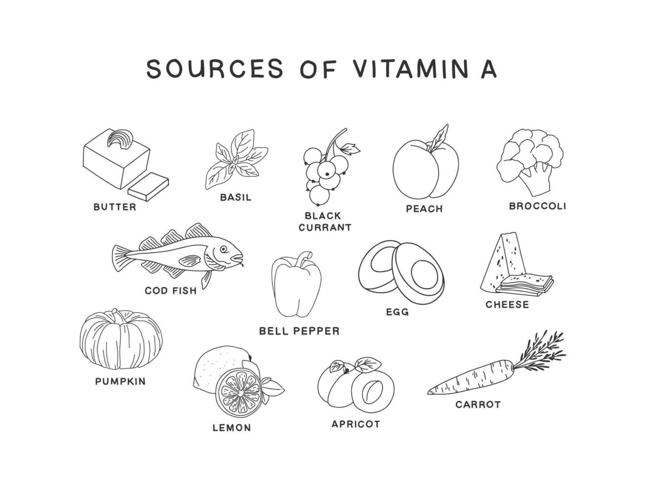 Sources of vitamin A set of hand drawn black and white icons isolated on white background. Proper nutrition vector illustration in line style