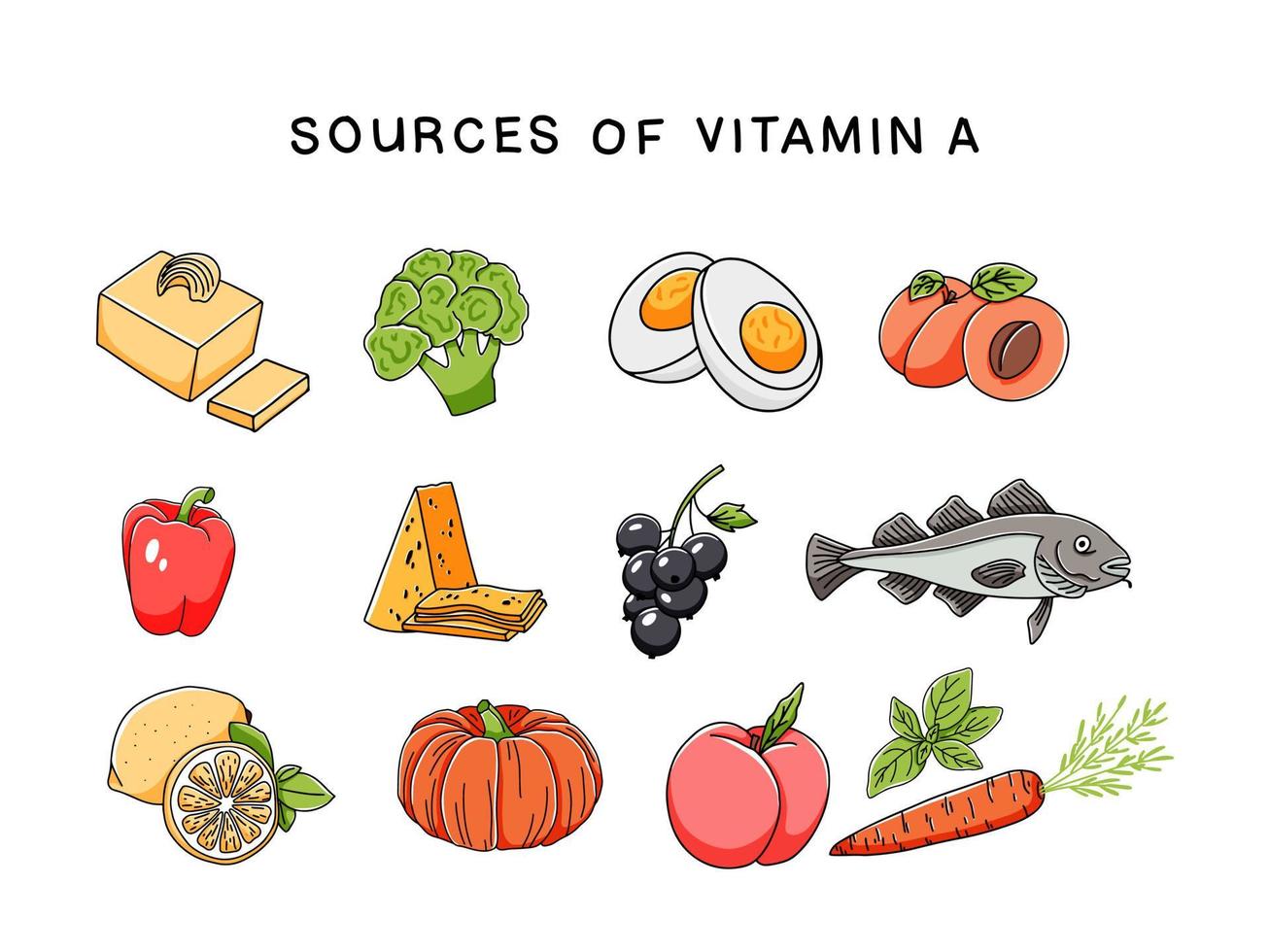 Sources of vitamin A set of hand drawn icons isolated on white background. Proper nutrition vector illustration