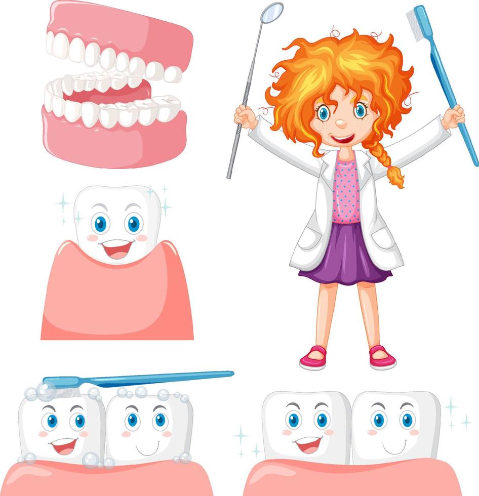 Set of all types of teeth on white background vector