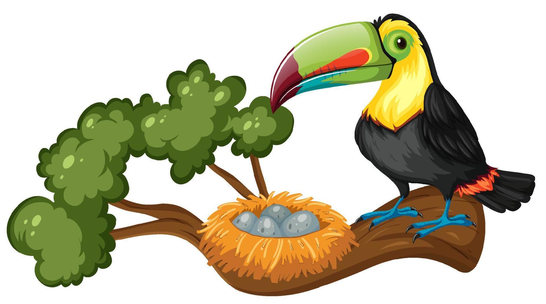 Toucan and bird nest on the branch vector