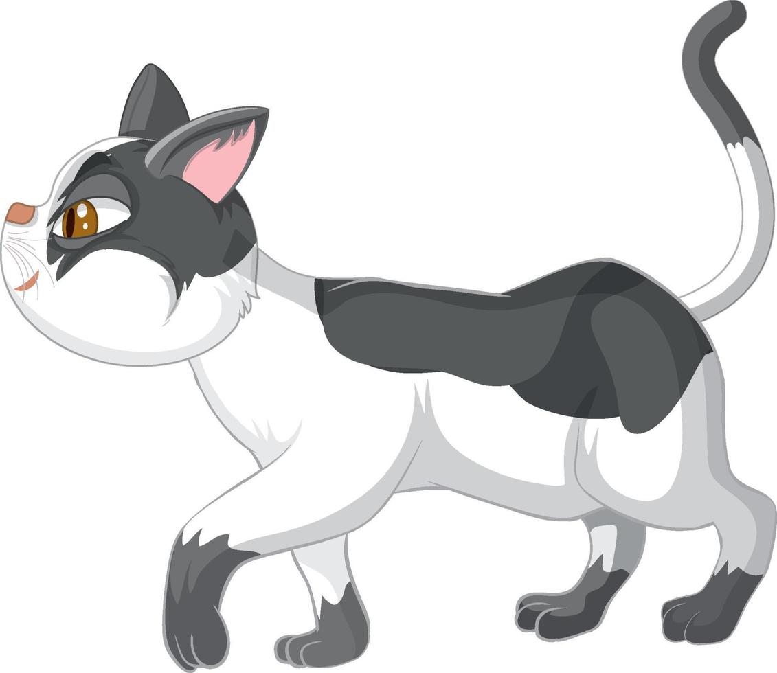 A cat walking on white background vector