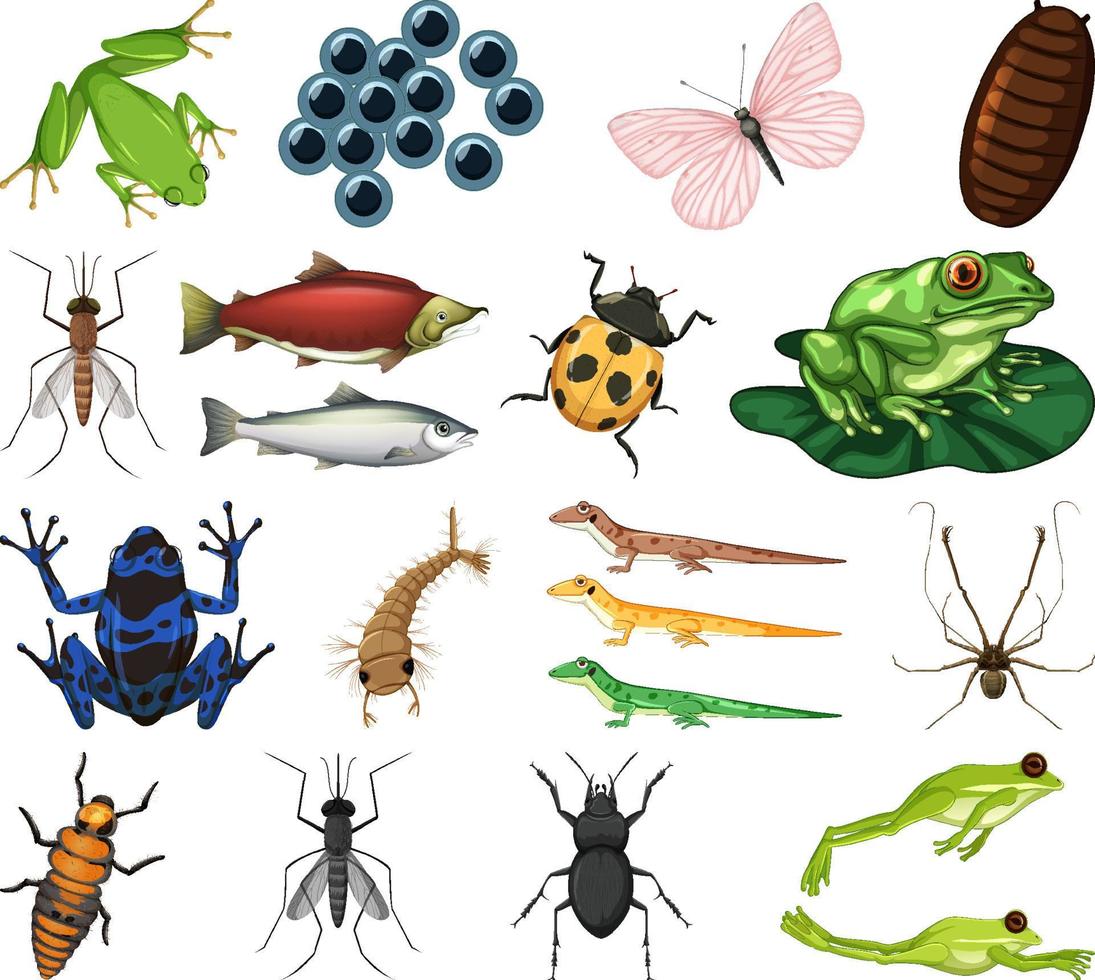 diferentes tipos de insectos y animales sobre fondo blanco vector