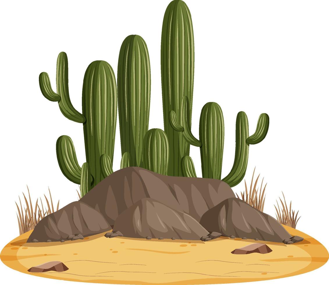 Isolated desert landscape with cactus vector