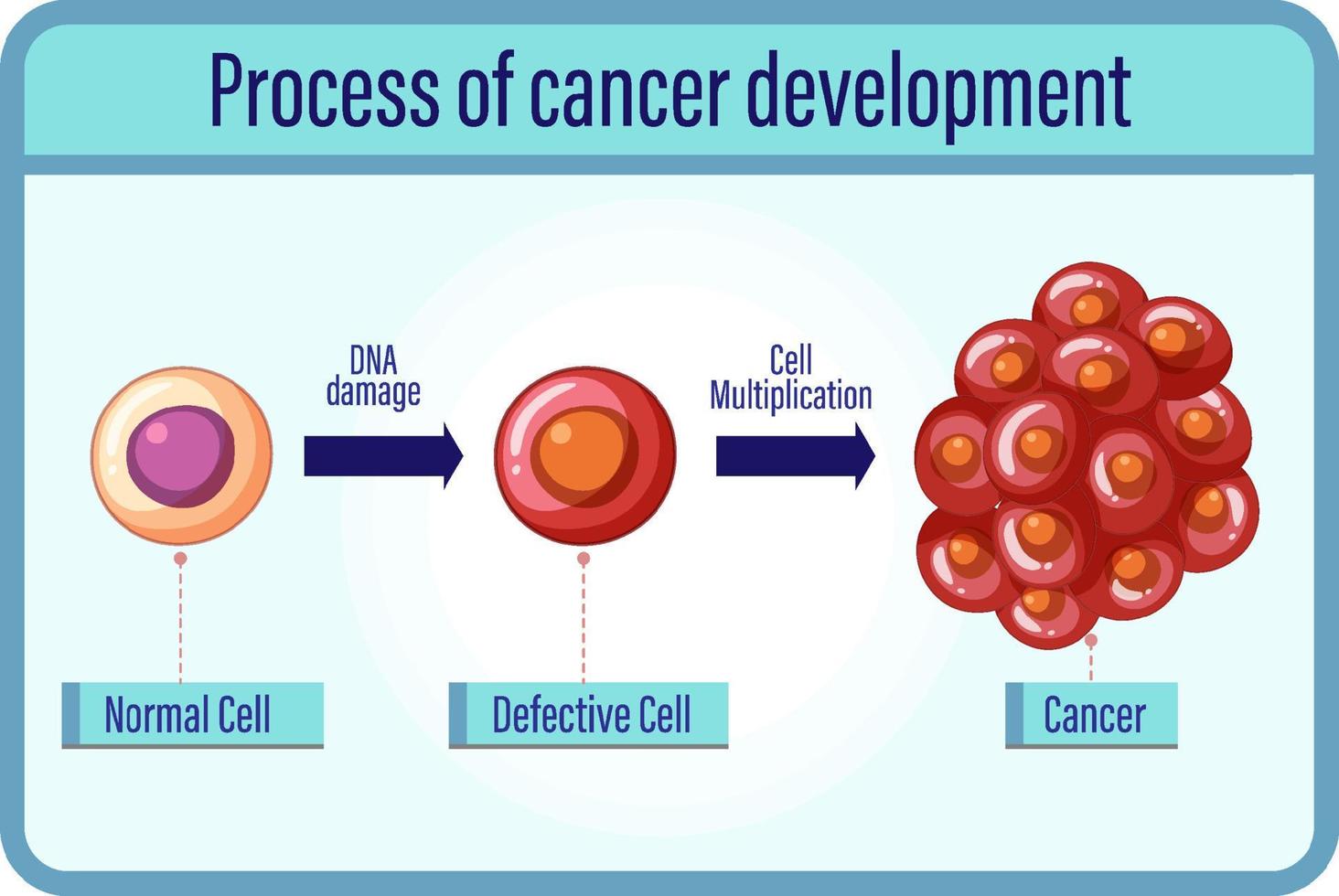 Process of cancer development vector