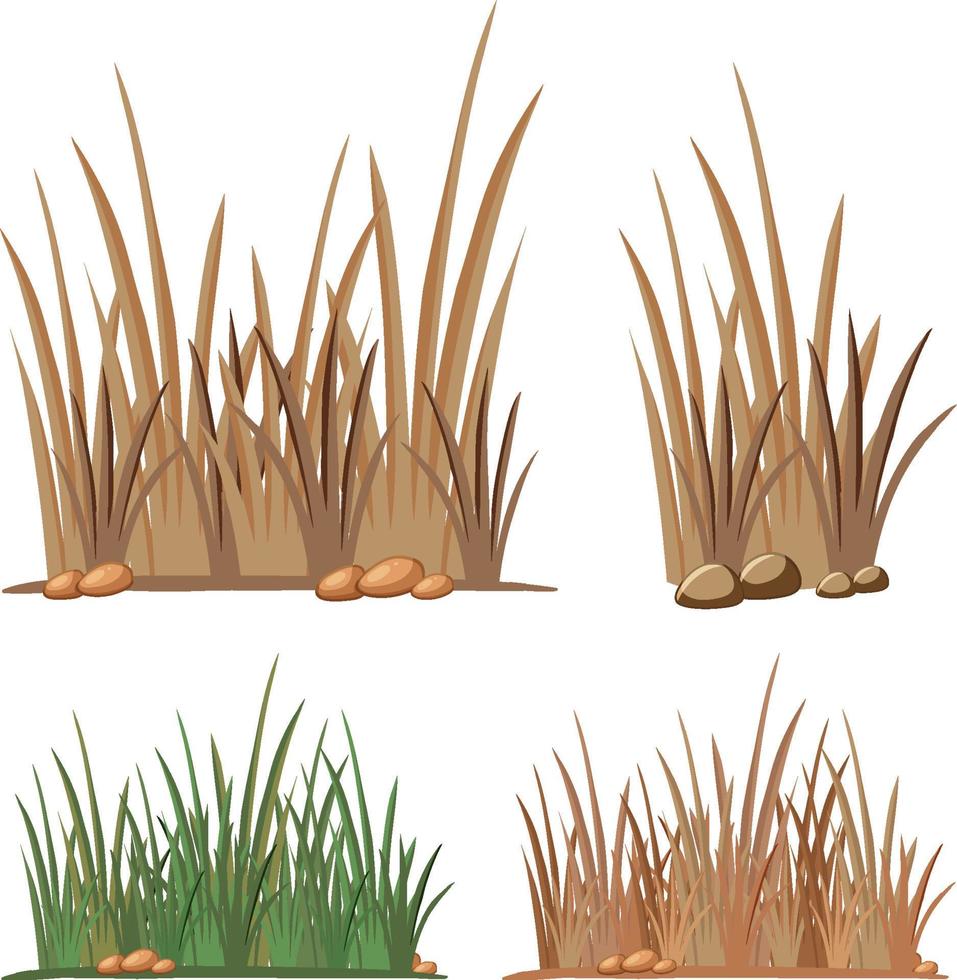 Set of different grass clumps vector