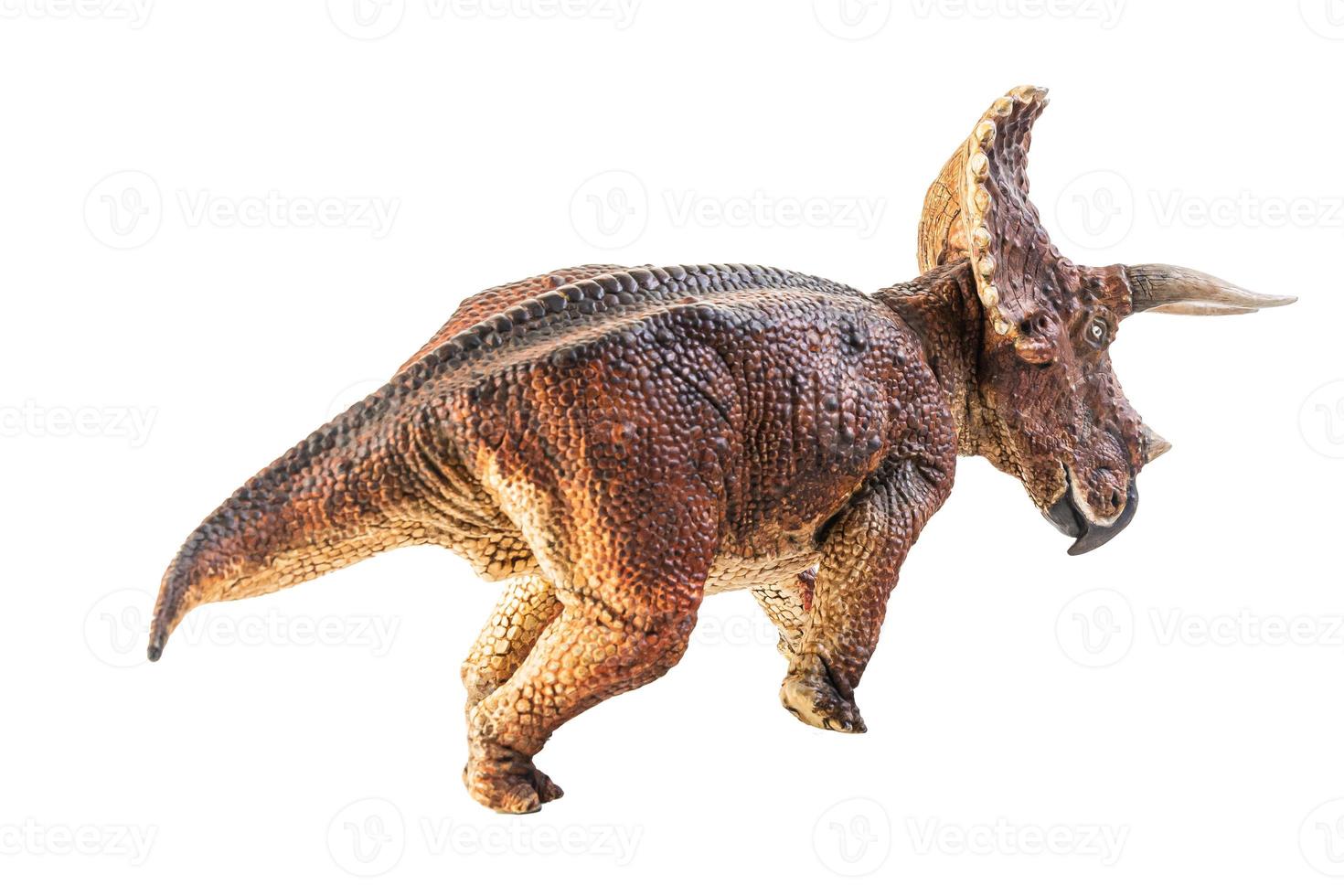 triceratops, dinosaurio sobre fondo blanco. foto