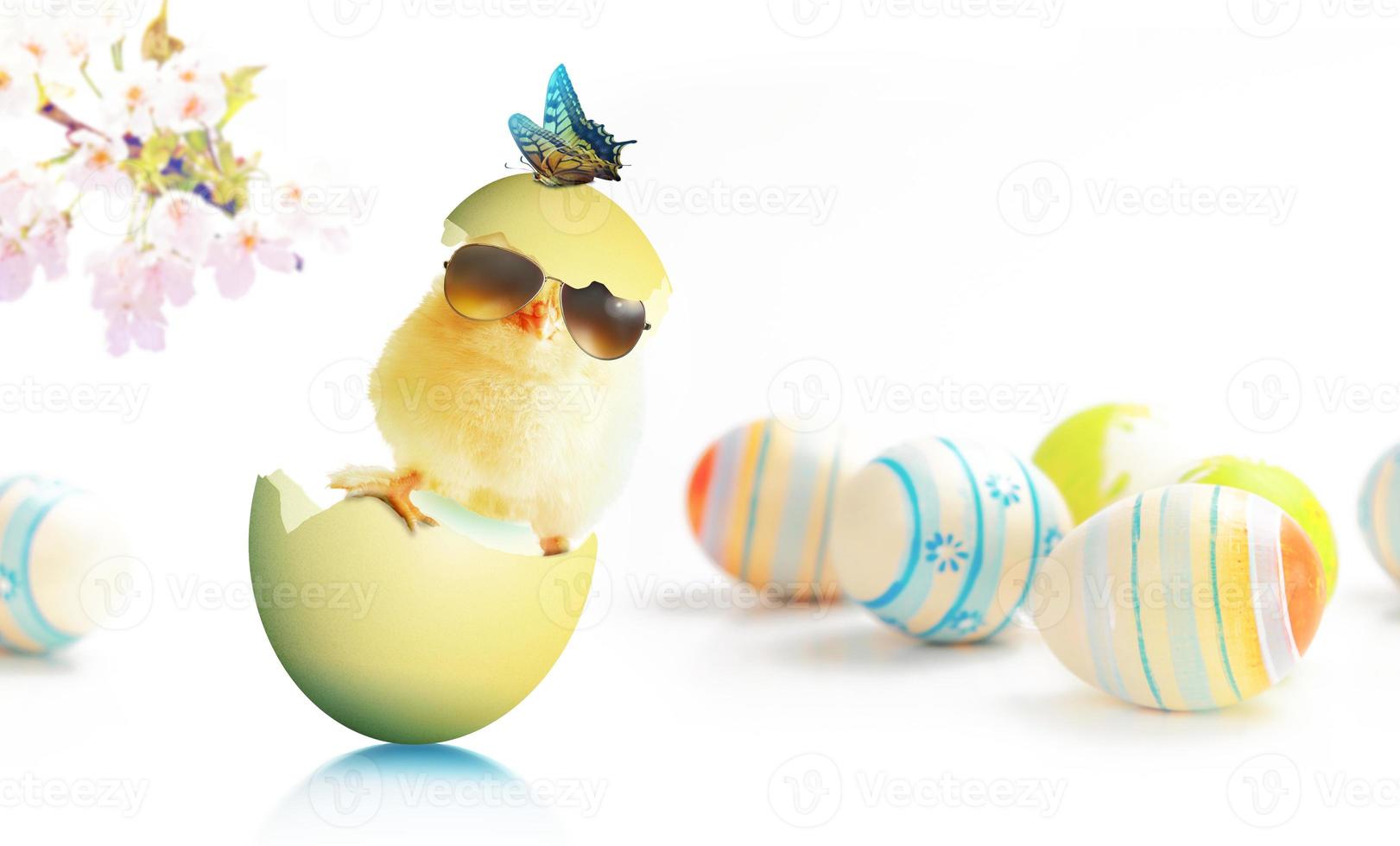 Funny cute baby chick with sunglasses and egg. photo