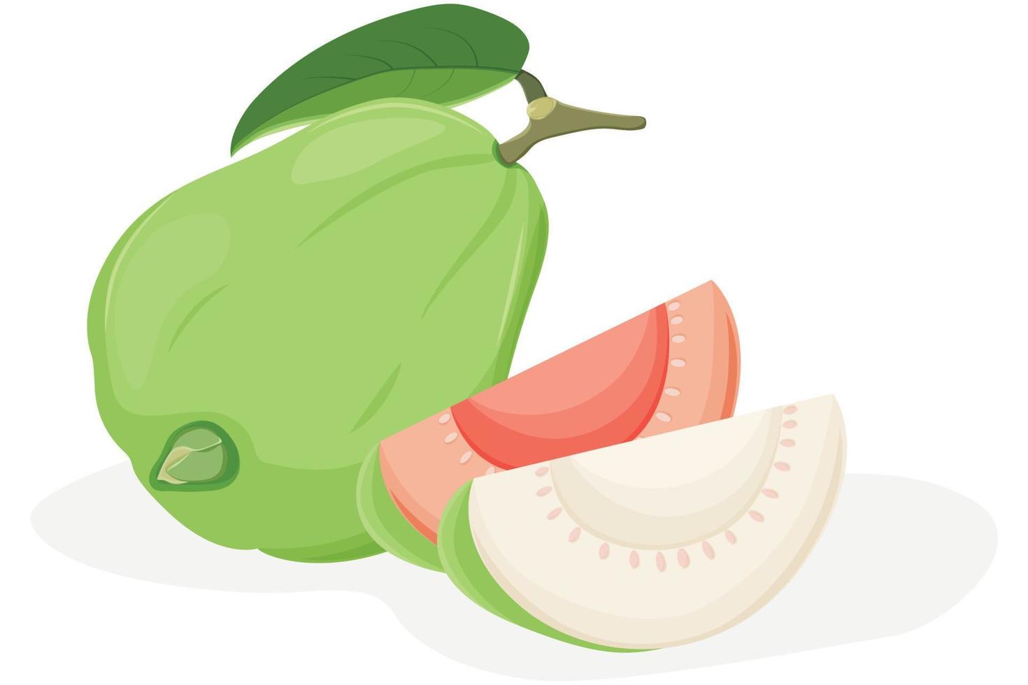 fruta de guayaba con trozo en rodajas vector