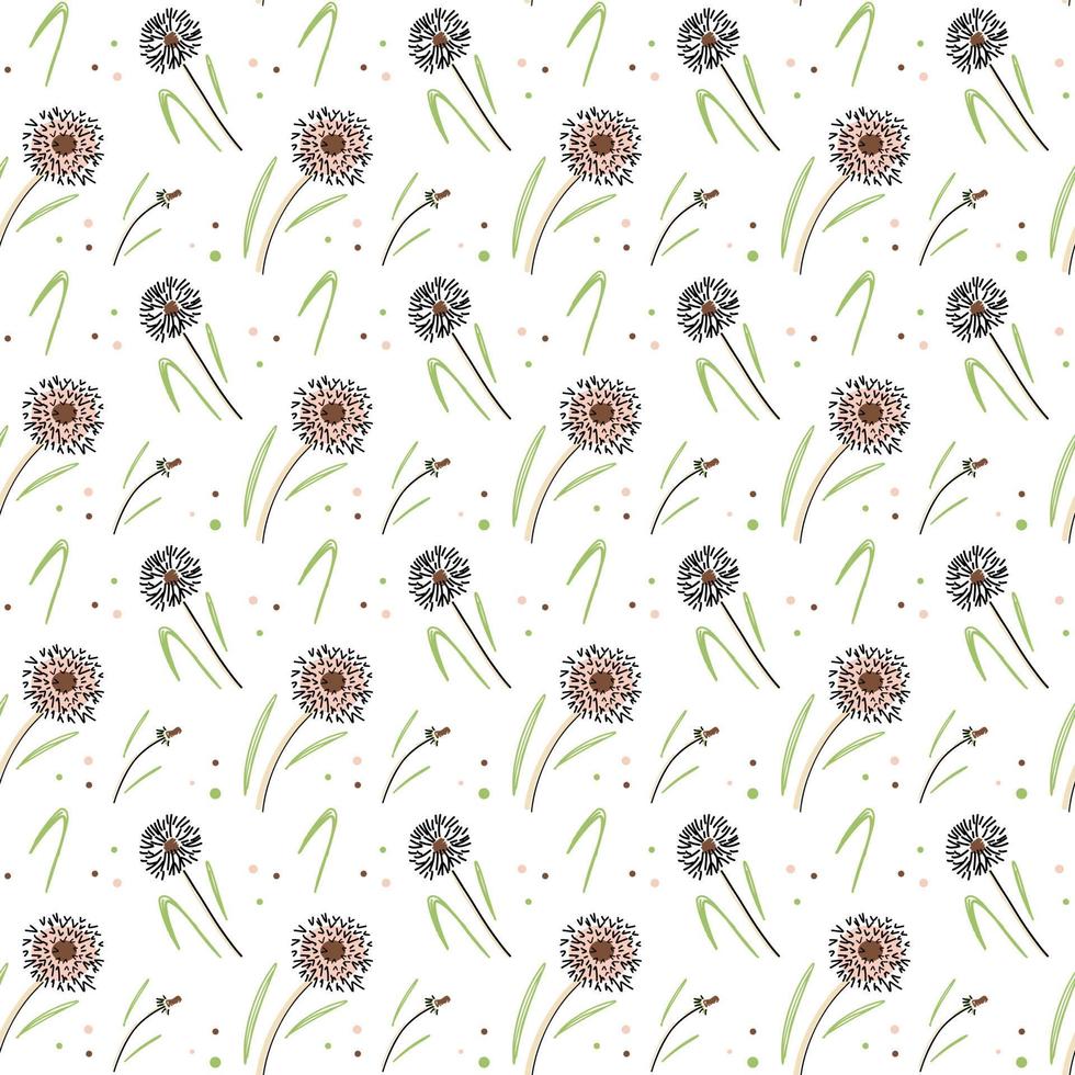 Pattern of dandelions on white background vector
