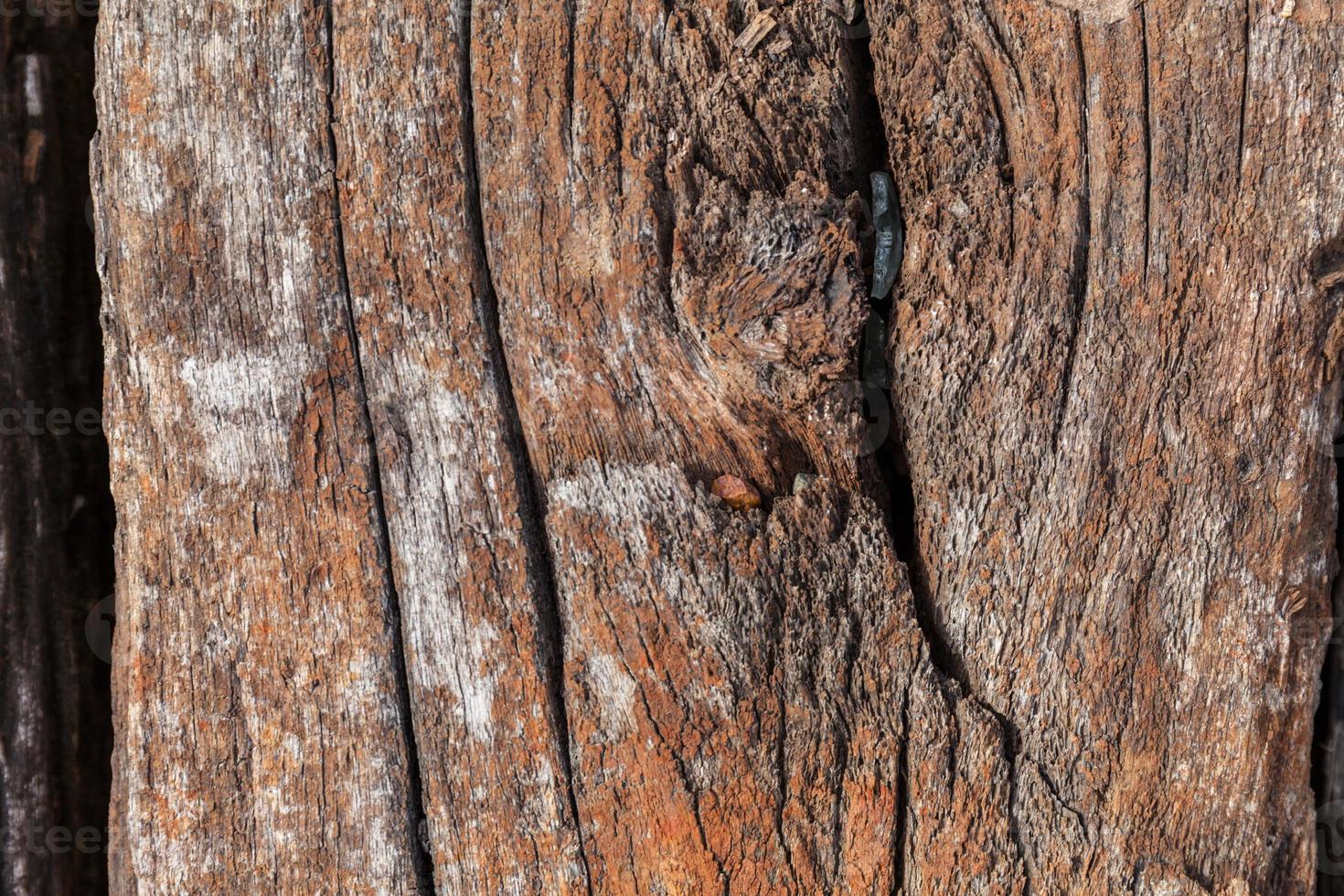 Old wood texture, vintage natural photo