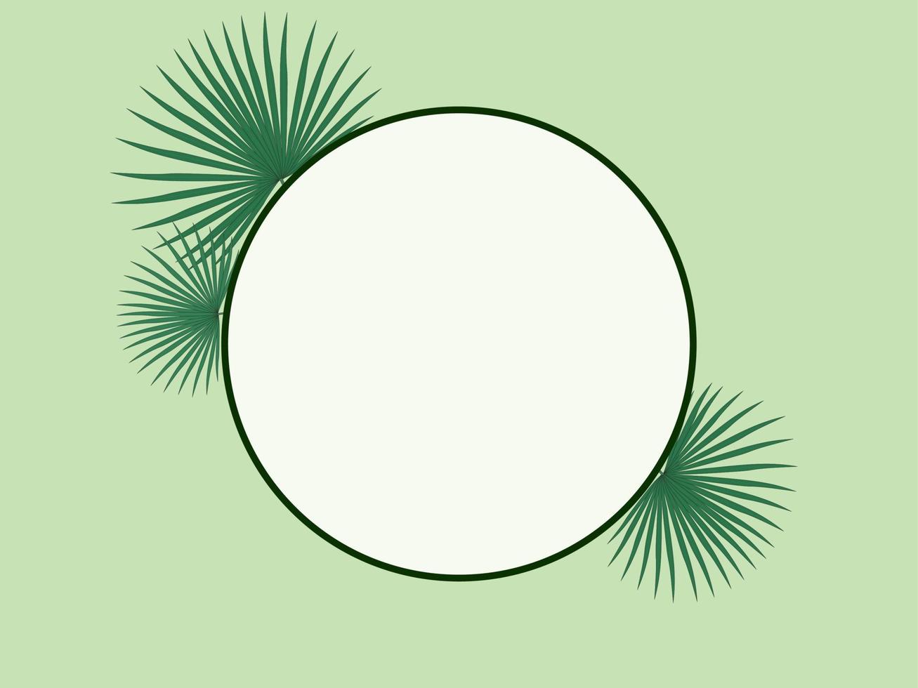 Light green background with circle frame and chamaerops palm leaves vector illustration