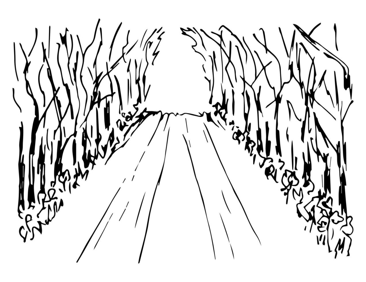 Hand-drawn simple vector illustration in black outline. Empty road, path, walk in the park, perspective, alley of trees, forest wilds, tunnel, light at the end. Sketch in ink.