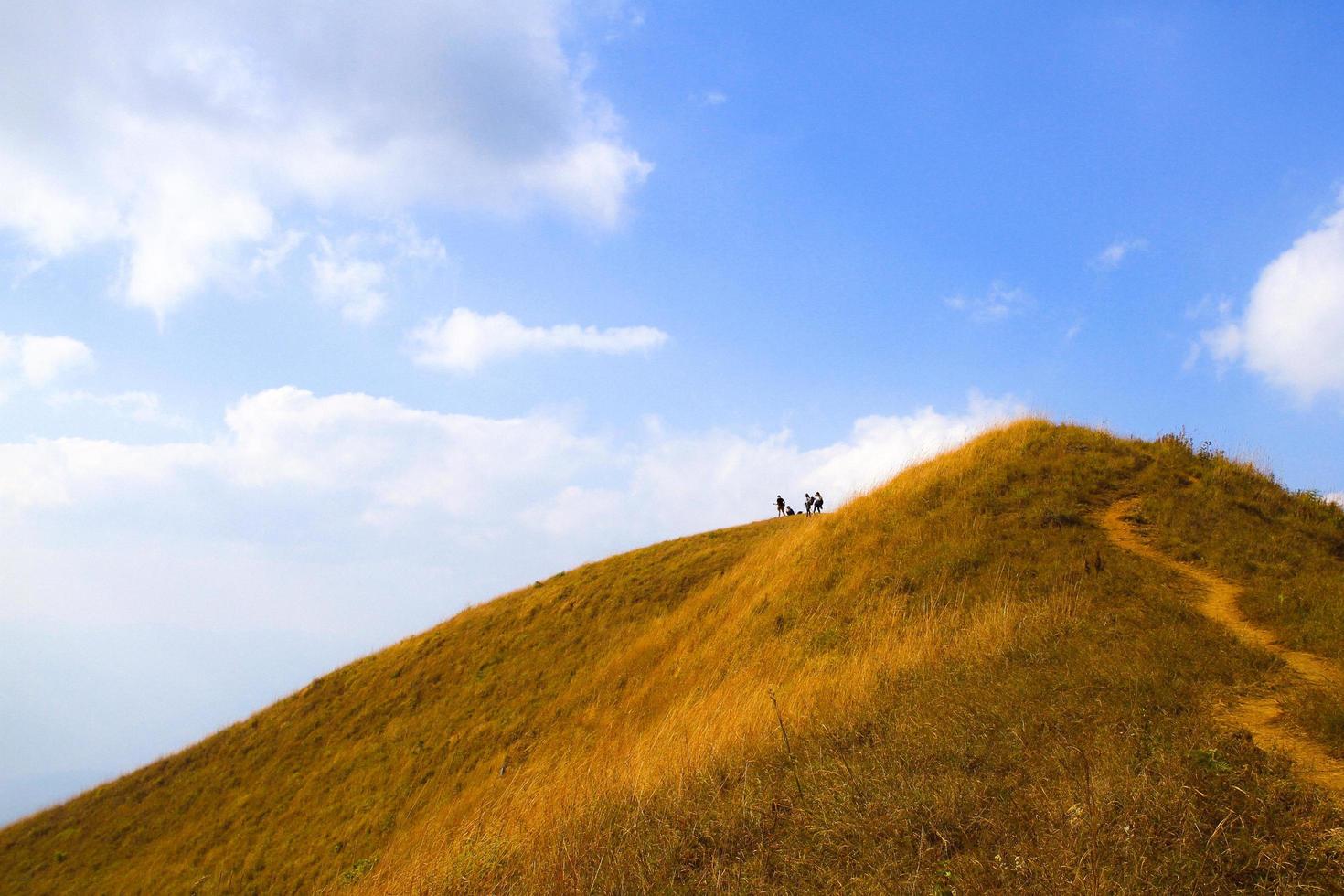 mirador de doi mon chong, provincia de chiang mai, tailandia en invierno foto