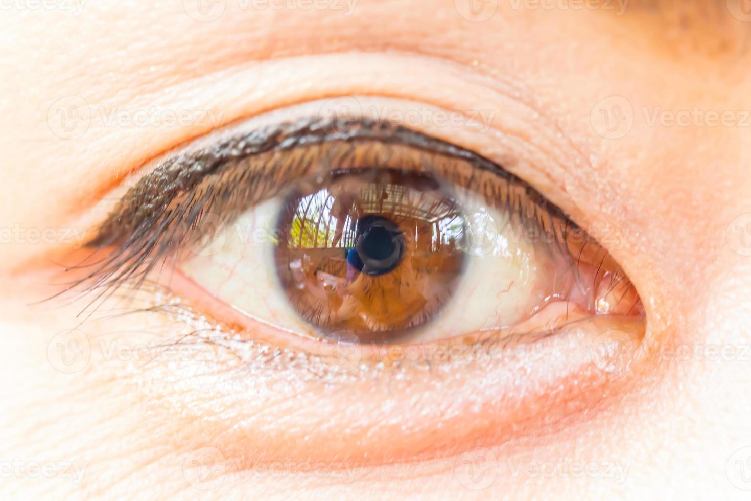 Close up picture of brown eyes from a young woman photo