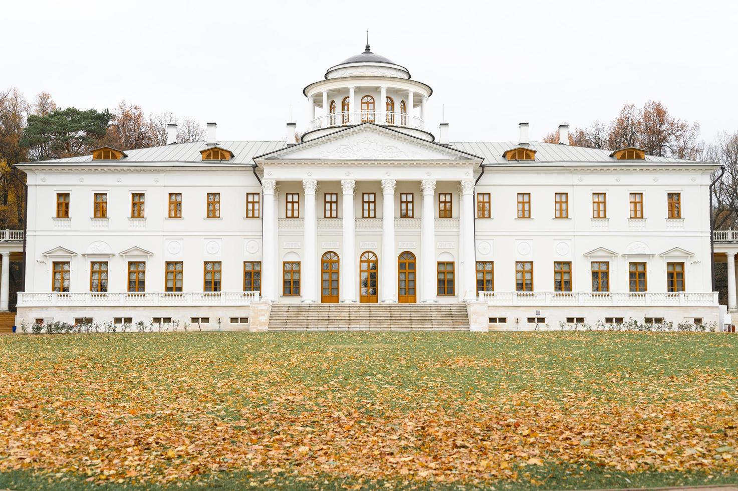 Moscow, 2019. autumn time foliage leaves fall forest park nature photo