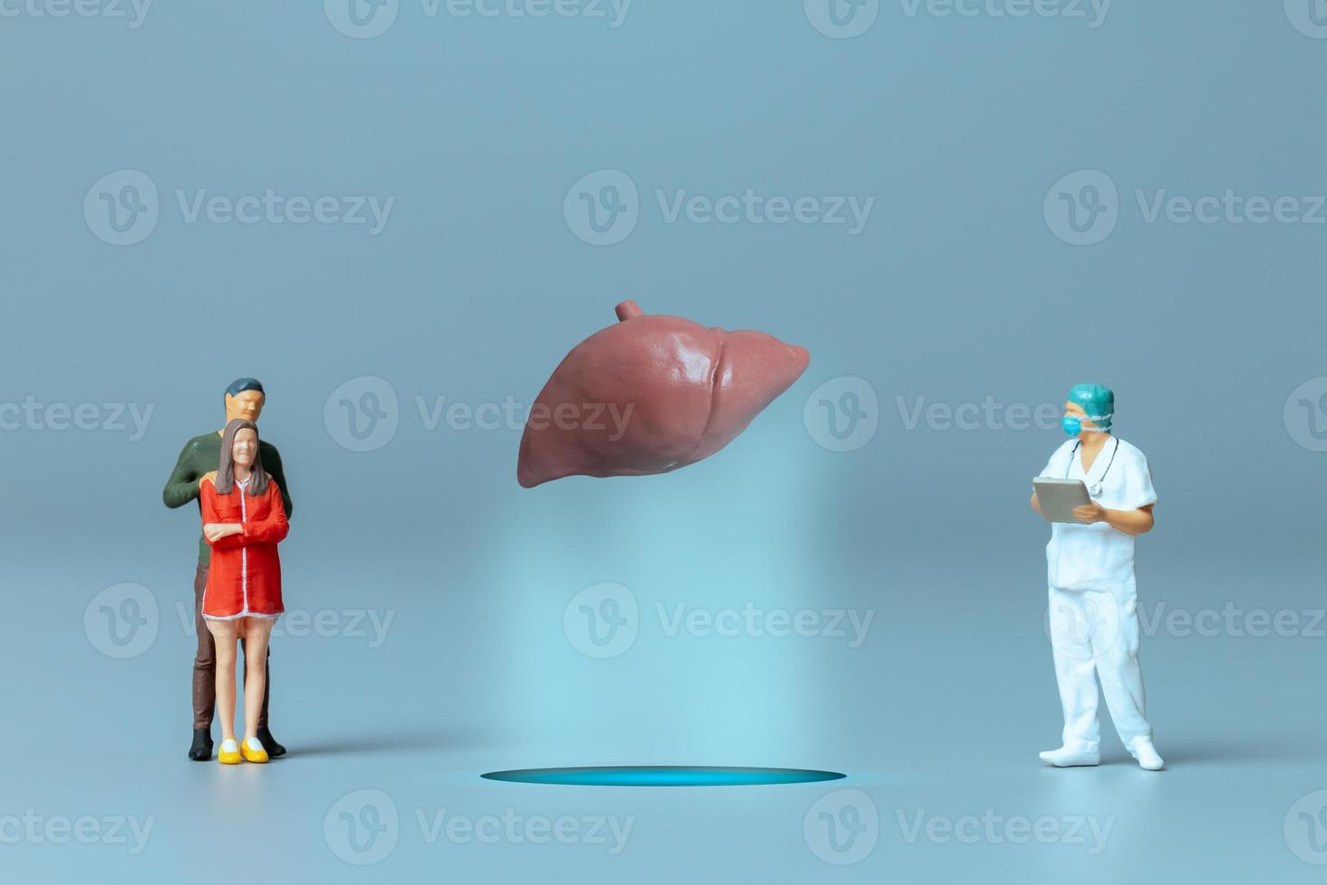 Doctor studying and treating human Liver , World Health Day concept photo