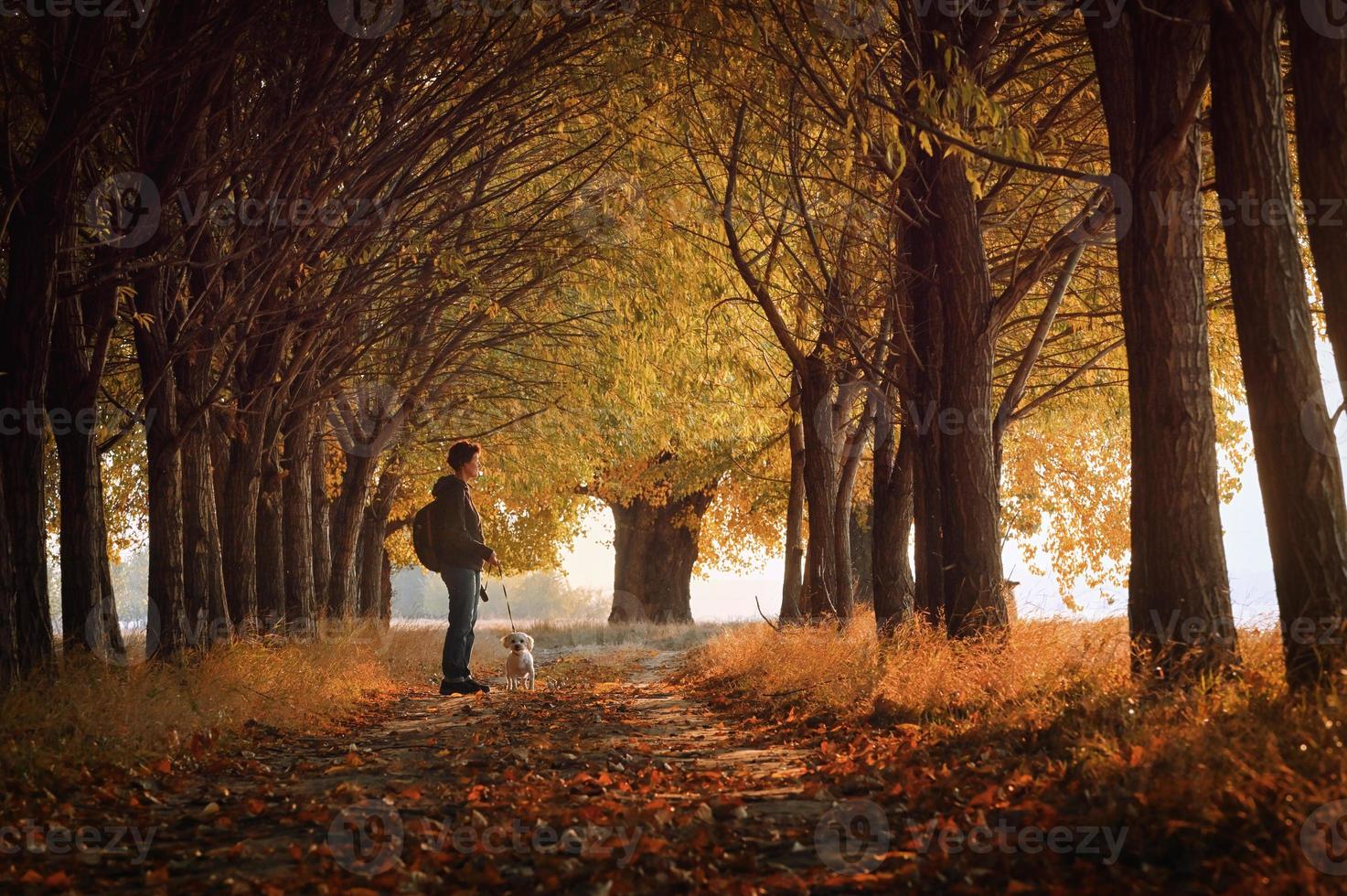 mujer y perro en camino y puesta de sol de otoño foto