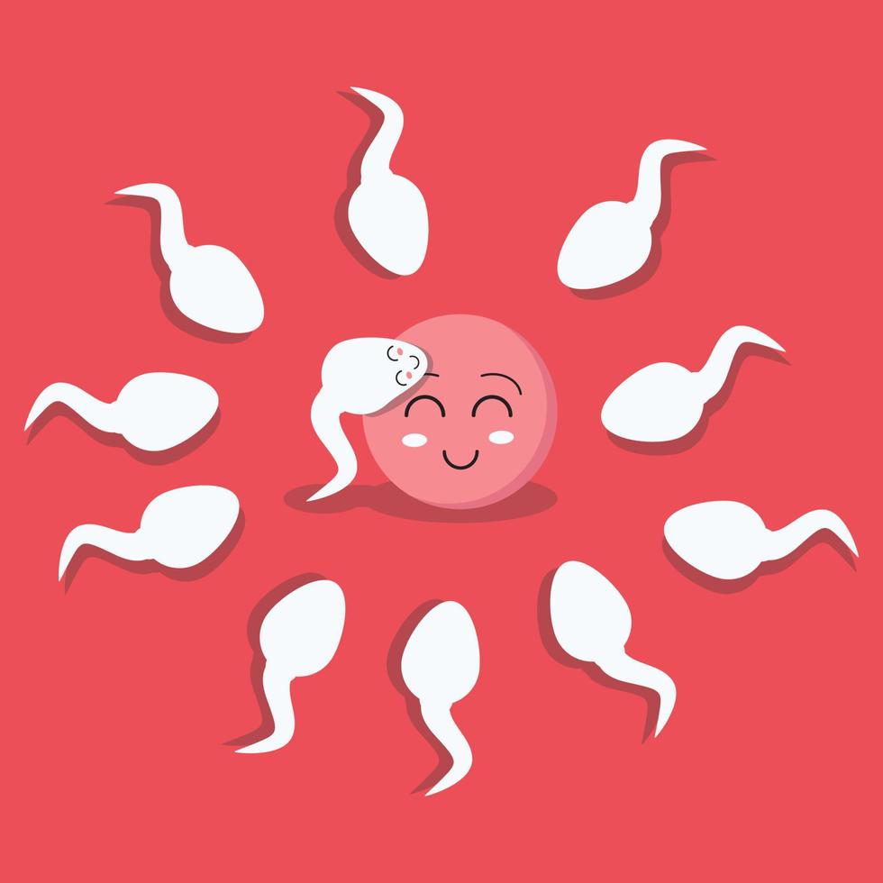 el esperma impregna una ilustración de vector de huevo fértil