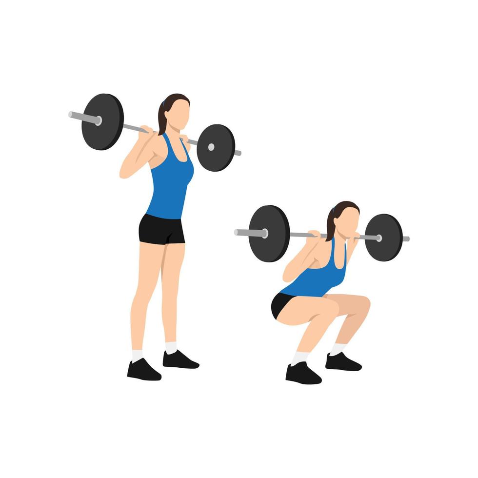 Woman doing Squat with barbell exercise. Flat vector illustration isolated on white background