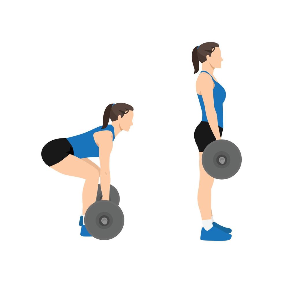 Woman doing Barbell deadlifts exercise. Flat vector illustration isolated on white background