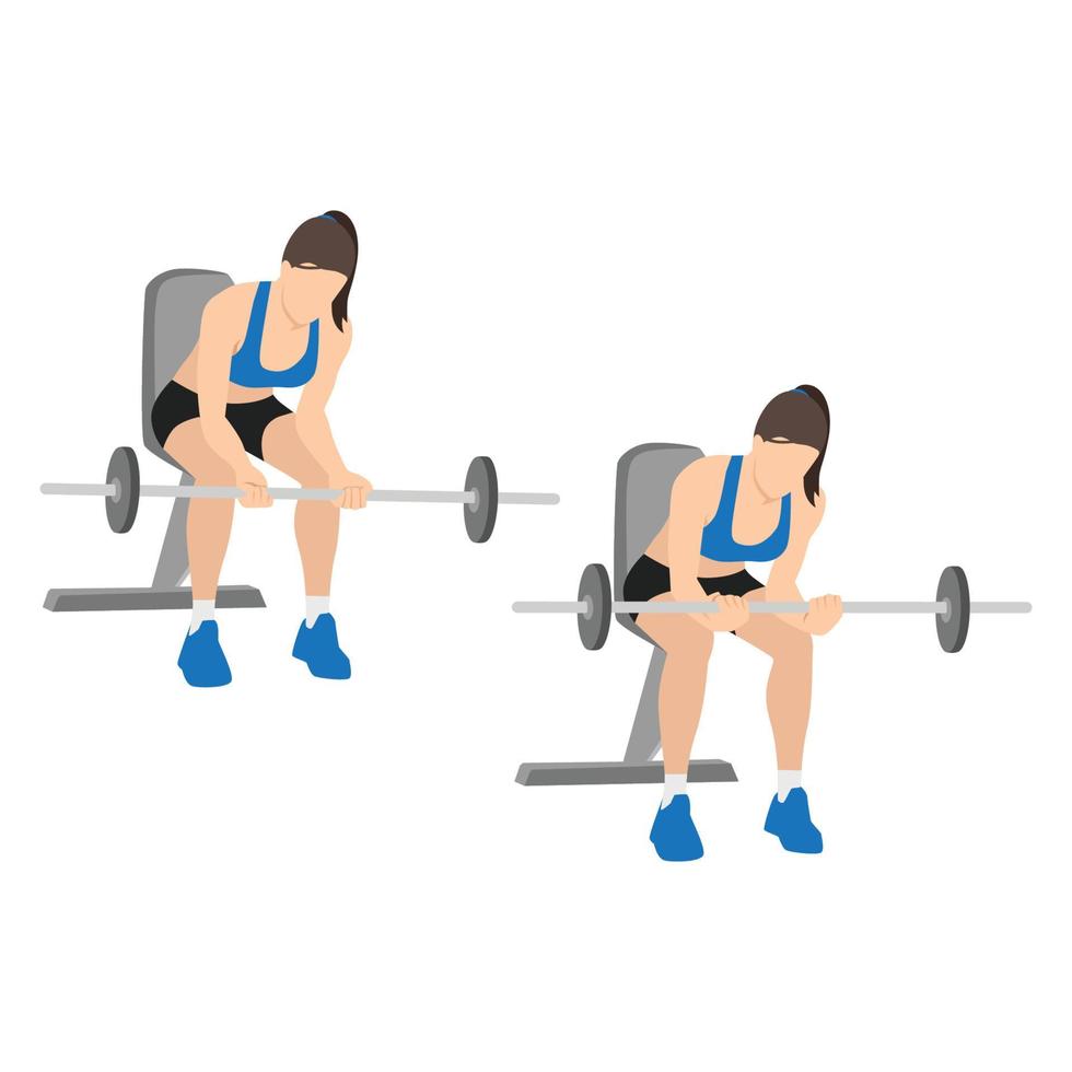 Woman doing Seated Palm down wrist curls exercise. Flat vector illustration isolated on white background