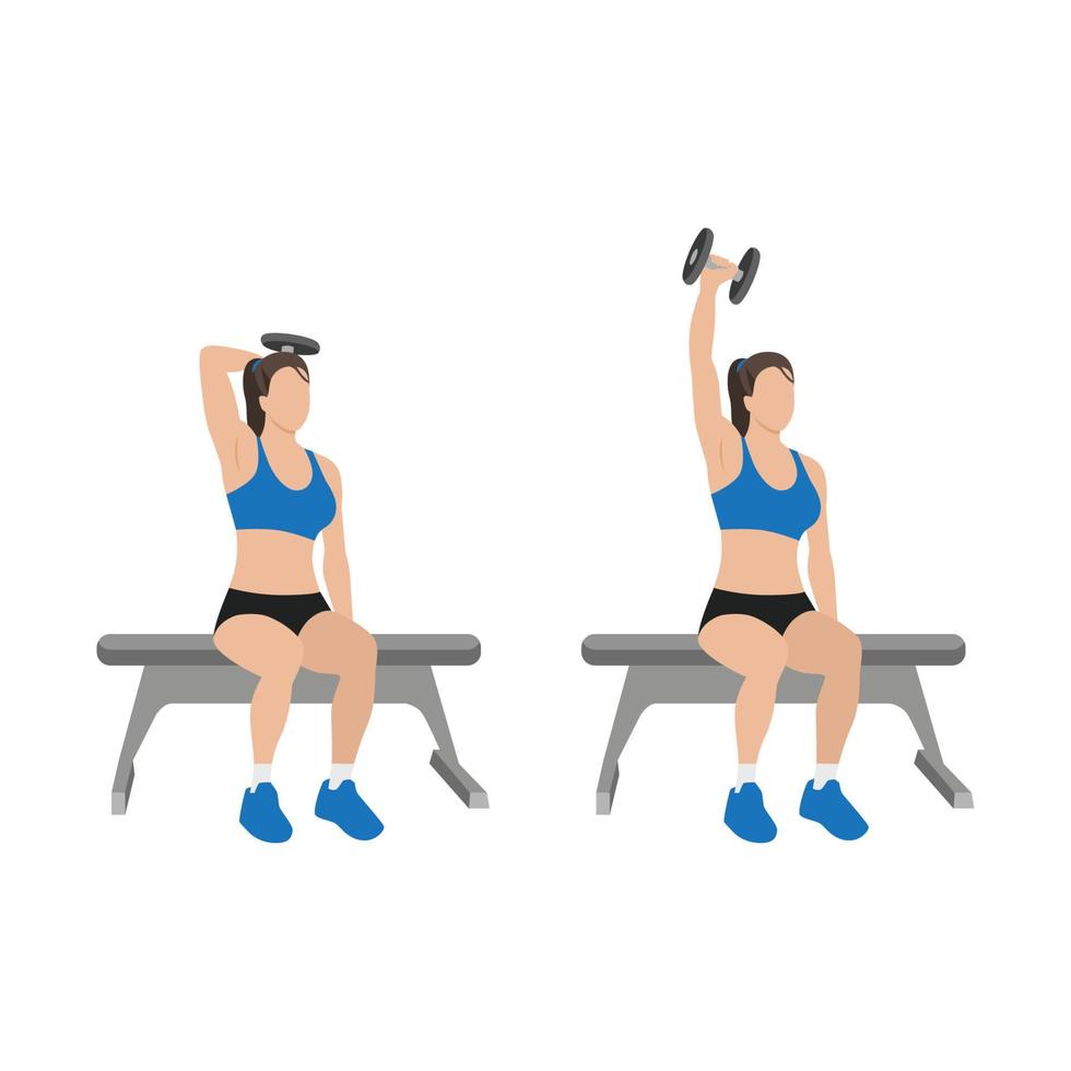 Woman doing Seated Single arm overhead dumbbell tricep extensions exercise. Flat vector illustration isolated on white background