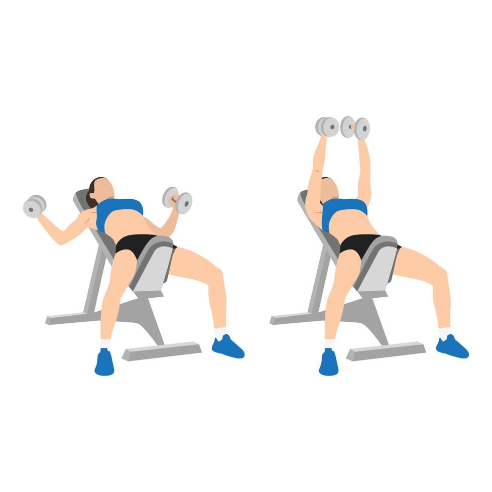 Woman doing Incline bench dumbbell flyes exercise. Flat vector illustration isolated on white background