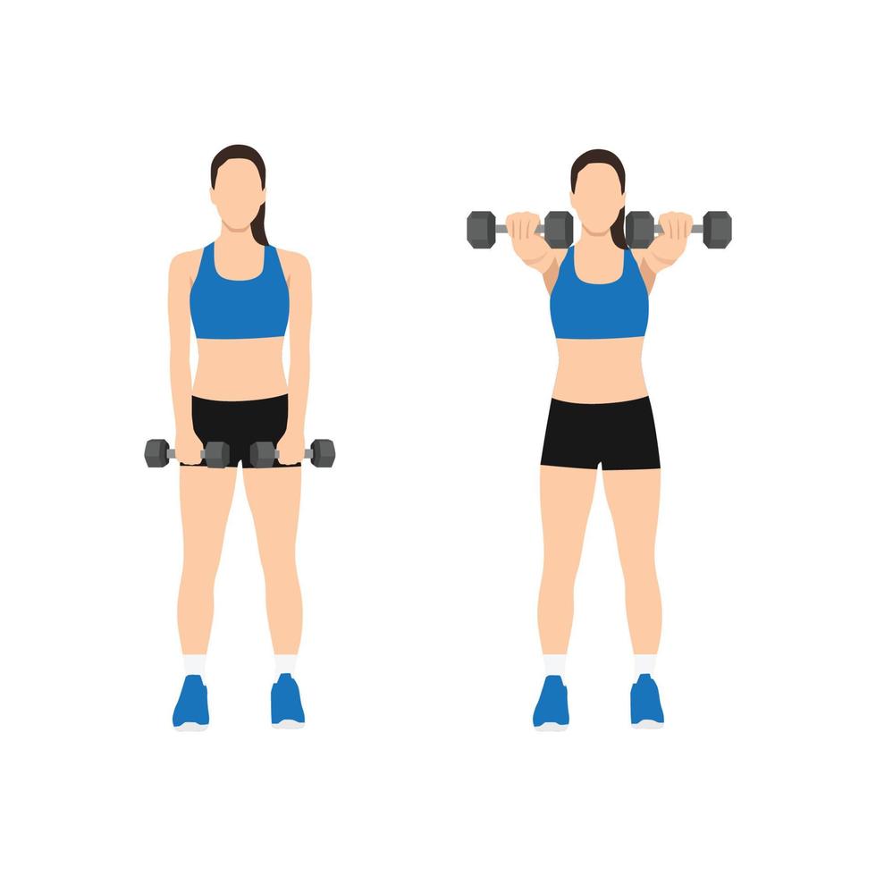 Woman doing Hammer strength machine. Seated chest press exercise. Flat  vector illustration isolated on white background. Workout character  27211901 Vector Art at Vecteezy