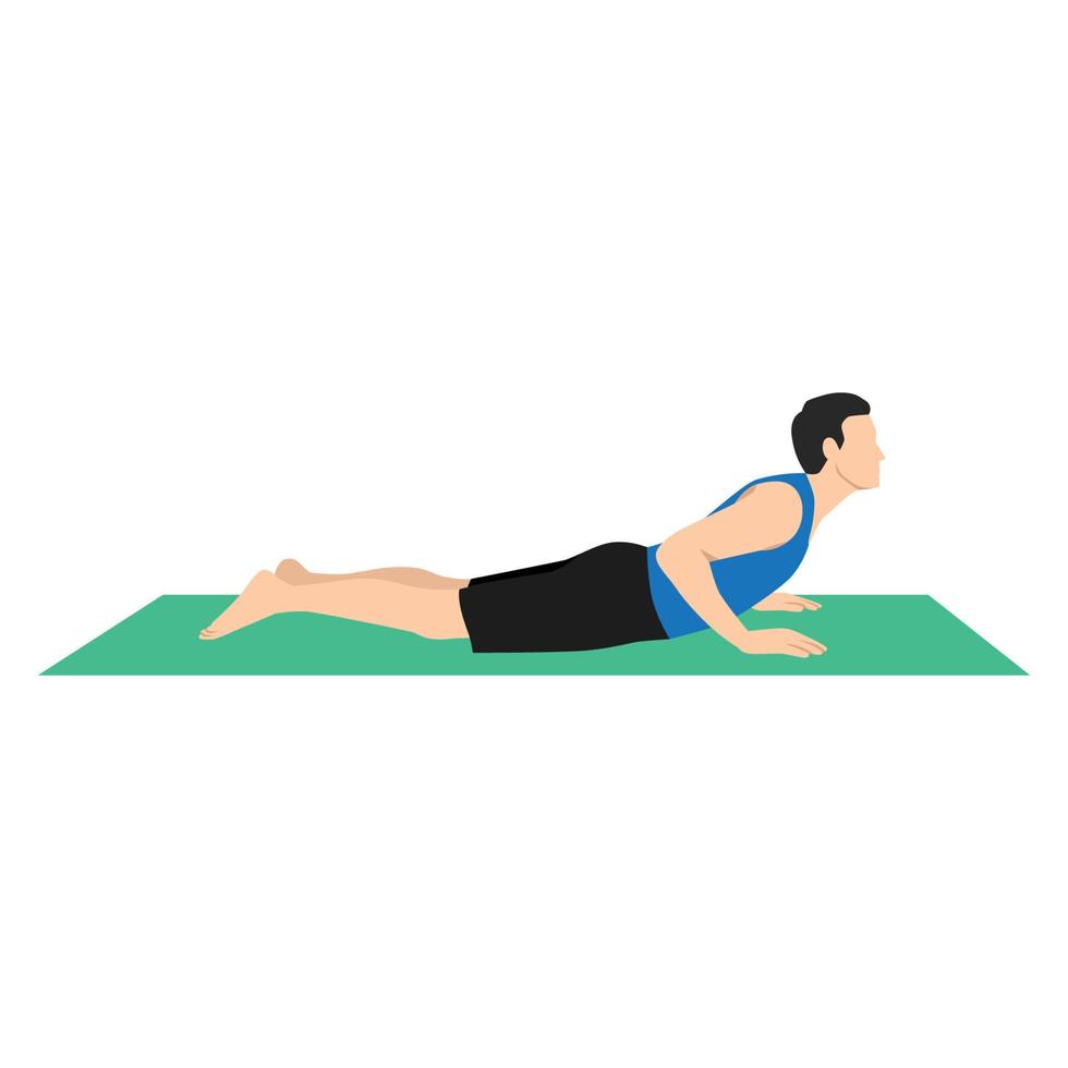 Yoga Man in Bhujangasana or cobra pose. Male cartoon character practicing Hatha yoga. Man demonstrating exercise during gymnastics training. Flat vector illustration.