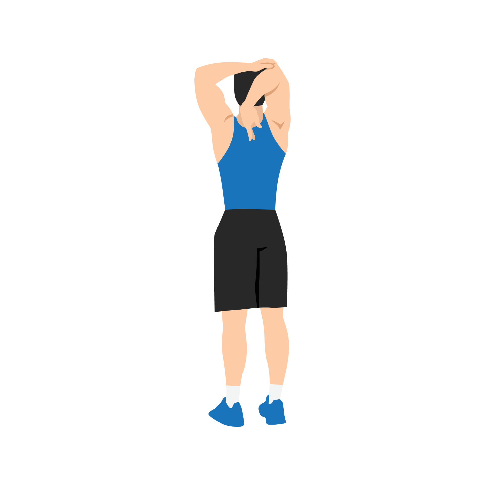 Man doing Overhead triceps stretch exercise. Flat vector illustration  isolated on white background 6417671 Vector Art at Vecteezy