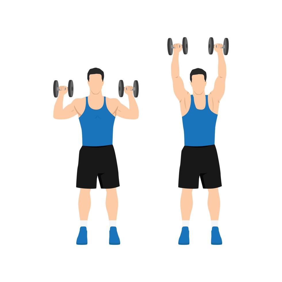 Man doing Overhead dumbbell shoulder press exercise. Flat vector illustration isolated on white background 6417674 Vector Art at Vecteezy