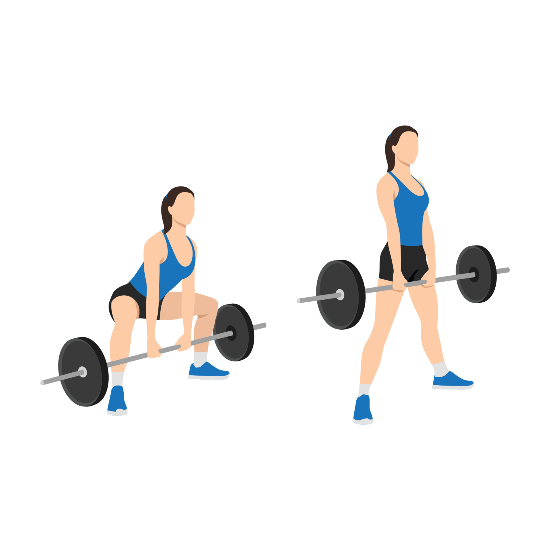 Woman doing Sumo Barbell deadlifts exercise. Flat vector illustration  isolated on white background 6417689 Vector Art at Vecteezy