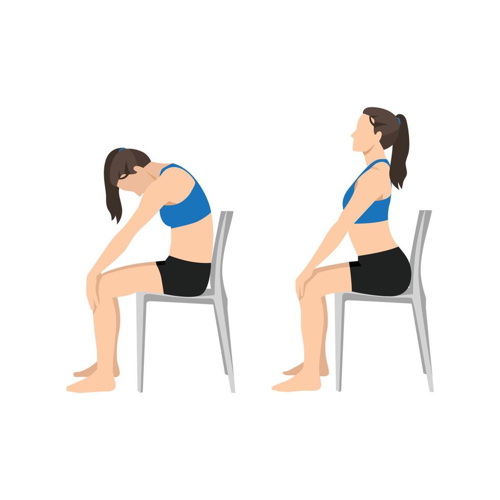 Woman doing Yoga. chair cat cow stretch exercise. Flat vector illustration isolated on white background