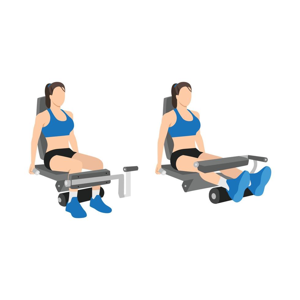 Woman doing Seated leg curls exercise. Flat vector illustration isolated on white background