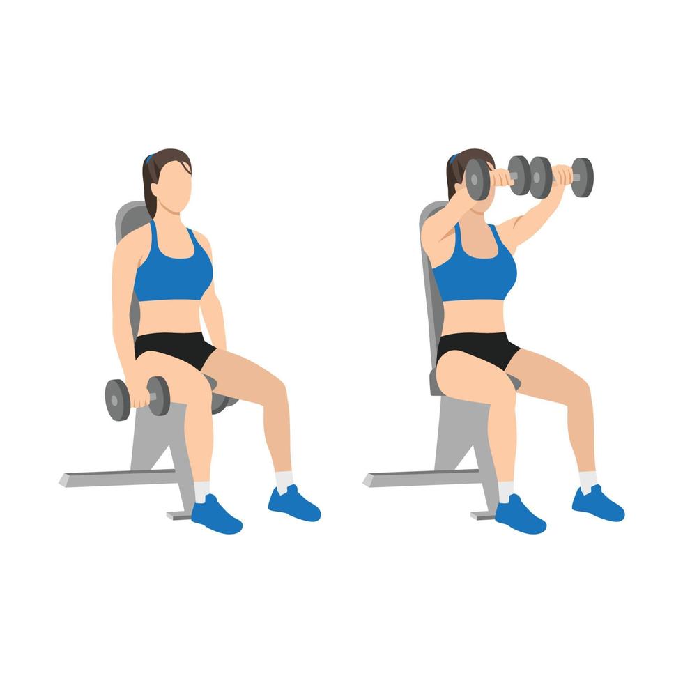 Woman doing Seated Dual front raises exercise. Flat vector illustration isolated on white background