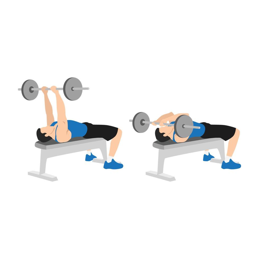 Man doing Flat bench barbell skull crushers exercise. Flat vector illustration isolated on white background