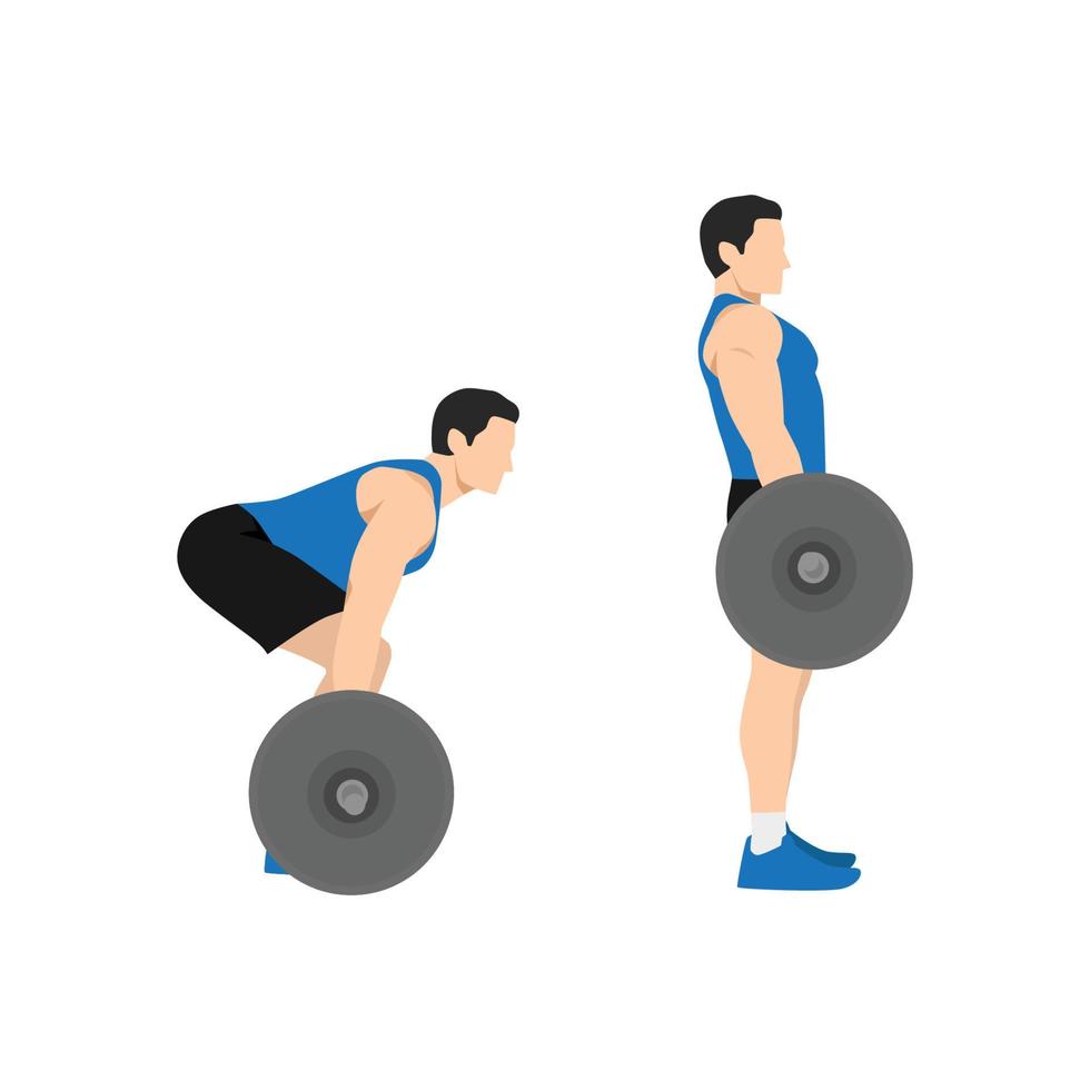 Man doing Barbell deadlifts exercise. Flat vector illustration isolated on white background