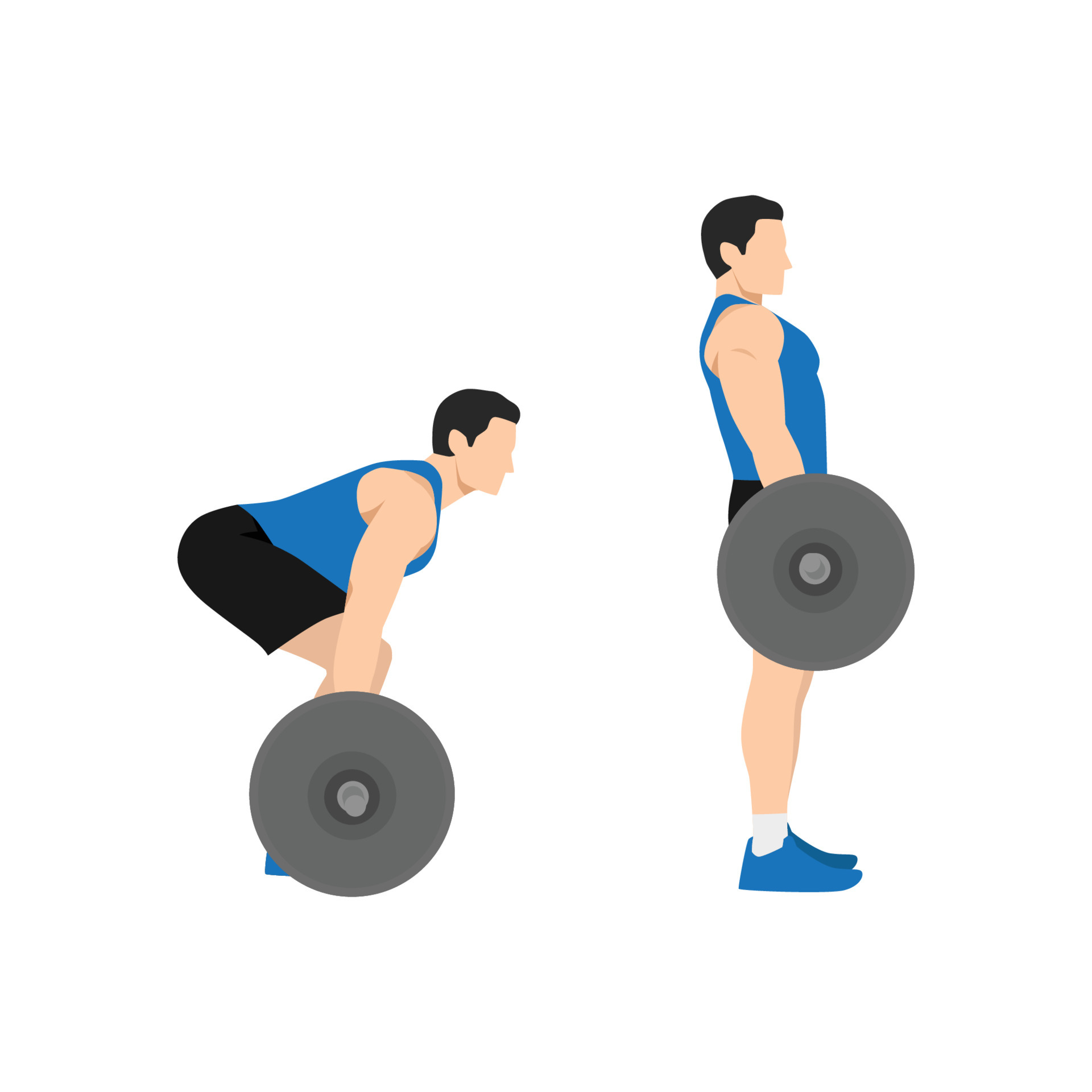 Man doing Barbell deadlifts exercise. Flat vector illustration isolated