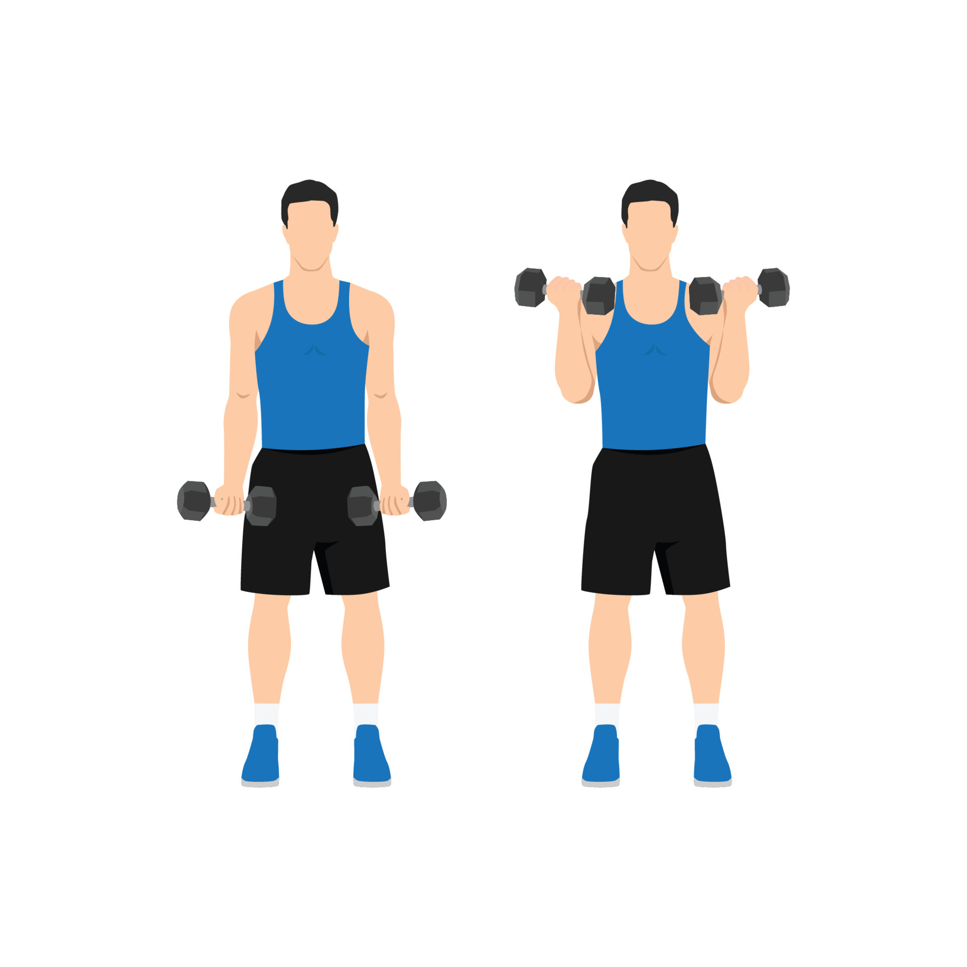 Man Doing Standing Dumbbell Bicep Curls Flat Vector Illustration