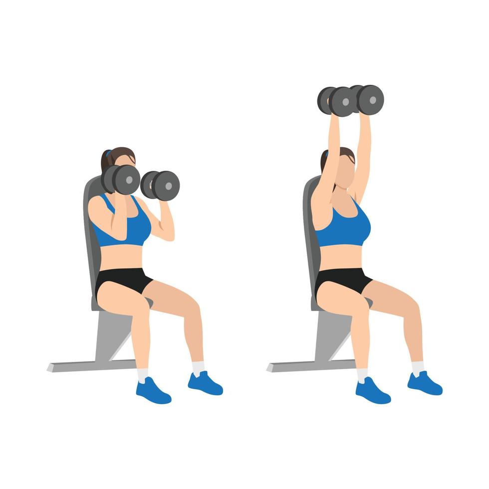 Woman doing Seated Shoulder hammer. Overhead presses exercise. Flat vector illustration isolated on white background