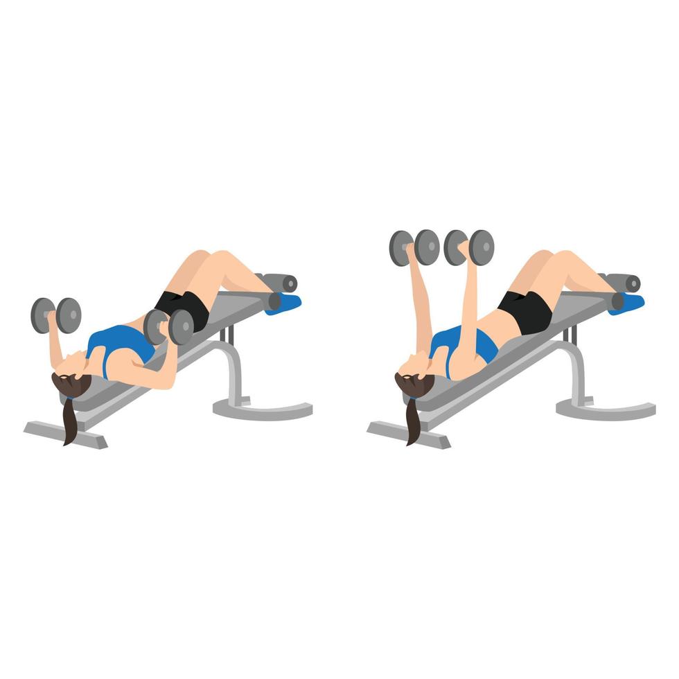 Woman doing Decline bench dumbbell press exercise. Flat vector illustration isolated on white background